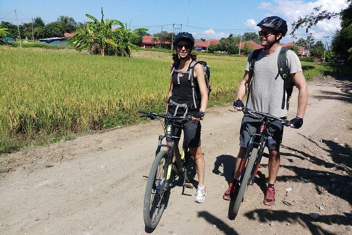 メーピン川沿いチェンマイ田んぼ自転車ツアー