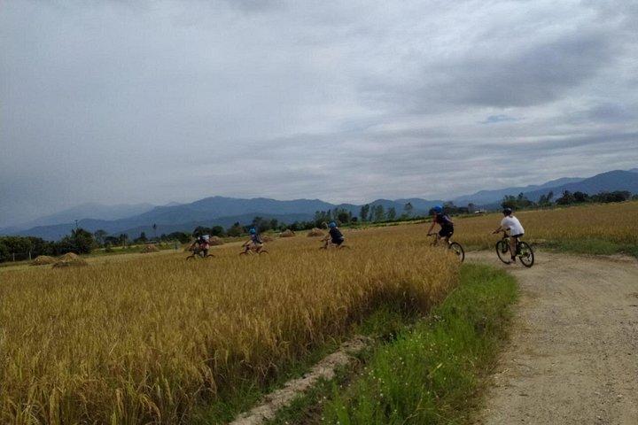 メーピン川沿いチェンマイ田んぼ自転車ツアー