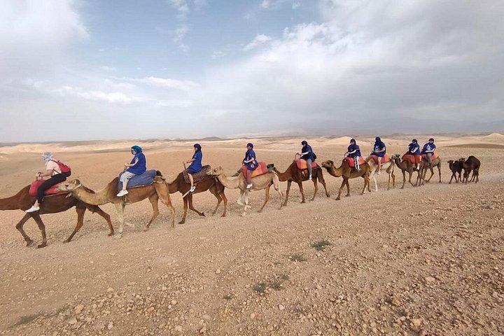 Kameltur i oasen Desert Marrakech