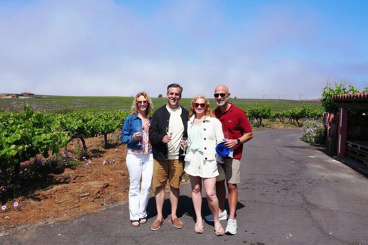 Vino, Tapas delle Canarie, Cultura, VIP Tour privato - foto incluse