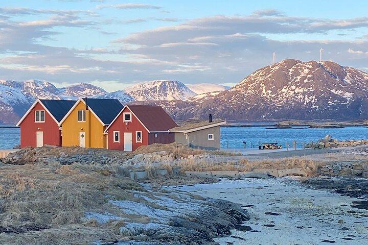 Tromso Excursion Artica Fjordos e Islas Sommaroy con lunch