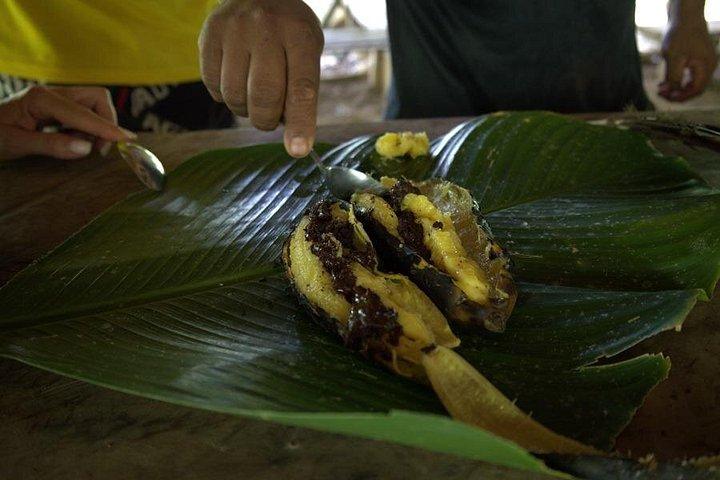 Bribri Limon Shaman Tour Experience