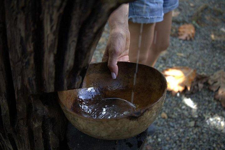 Bribri Limon Shaman Tour Experience