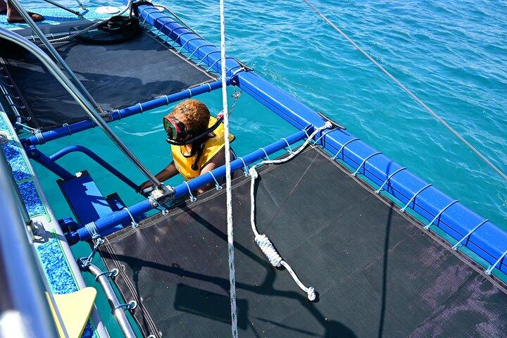 オアフ島カタマランシュノーケルツアー:100%保証のタートルズを見る