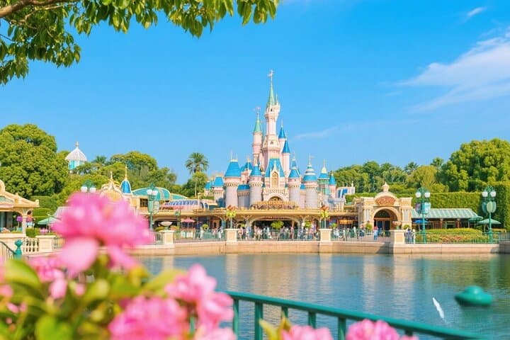 Tokyo DisneySea 1-Day Ticket & Private Transfer