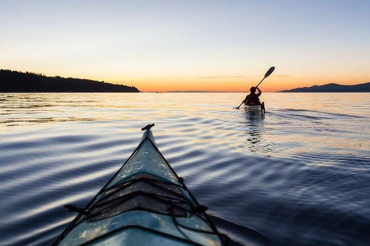 Kayak con pinguini ed escursione Capo di Buona Speranza