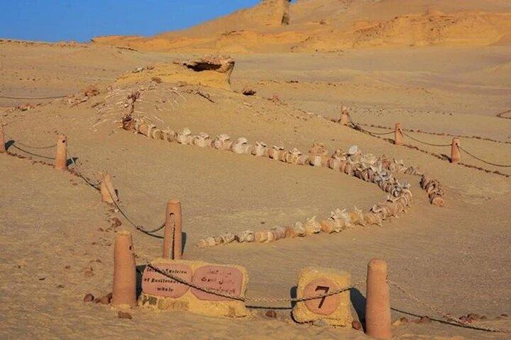 Excursion privée d'une journée du Caire au Fayoum