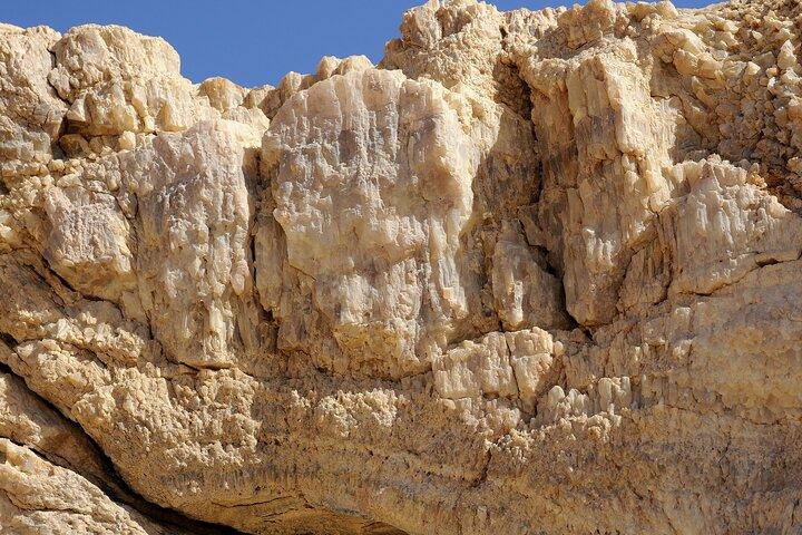White and Black Desert Tour, 2 dage 1 nat Camping fra Cairo