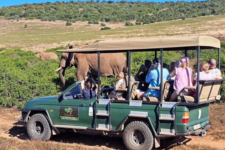 Schotia Safari Half-Day Game Drive : Port Elizabeth