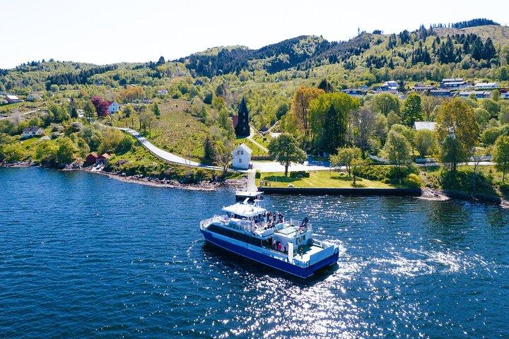ライブガイド付きベルゲン・モスラウメン・フィヨルドクルーズ