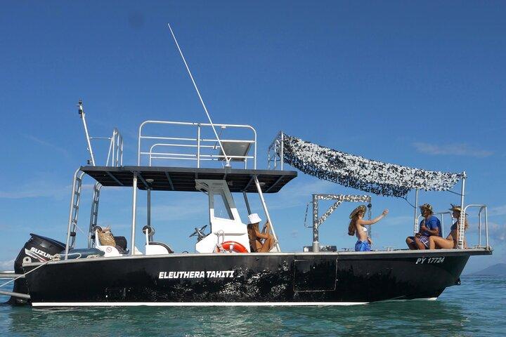 Nuota con le megattere a Tahiti (stagionale)