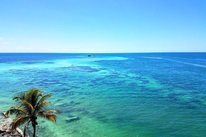 Excursión privada de un día completo por los Cayos de Florida desde Miami/FLL hasta Cayo Hueso