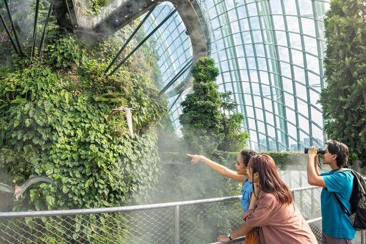 Gardens by the Bay E-Tickets: Cúpula das Flores + Cloud Forest