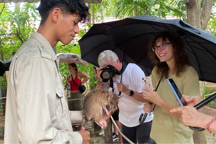 Excursão guiada de Siem Reap e RATs de heróis no APOPO Visitor Center