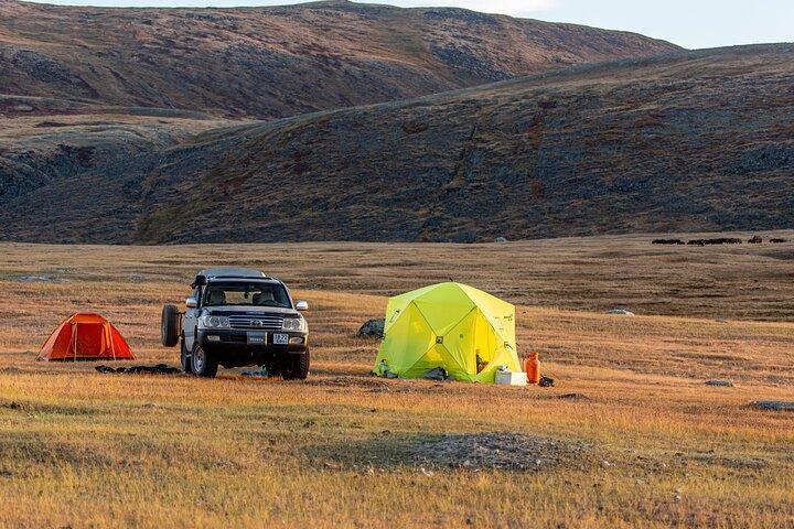 Descubra las montañas Altai 8 - Excursión de un día en Mongolia Occidental