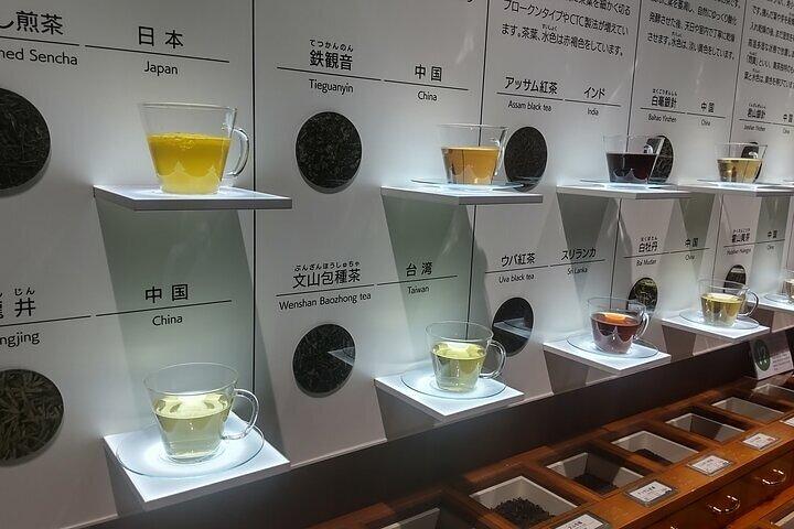 Museo del Tè Shizuoka e Ponte di Horaibashi Tour Guidato-Van