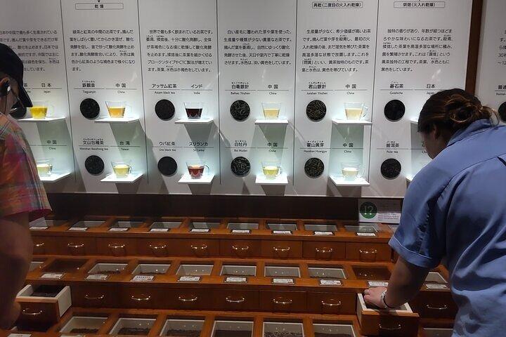 Museo del Tè Shizuoka e Ponte di Horaibashi Tour Guidato-Van