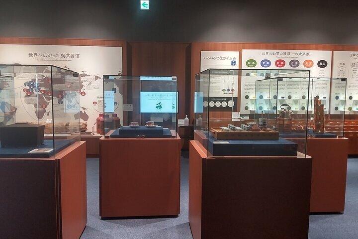 Museo del Tè Shizuoka e Ponte di Horaibashi Tour Guidato-Van