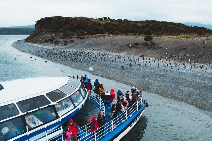 Beagle Channel Cruise & Penguin Watching fra Ushuaia