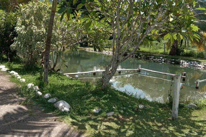 Visite privée de Nadi