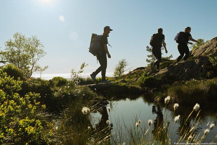 In cima a Bergen - Escursione privata