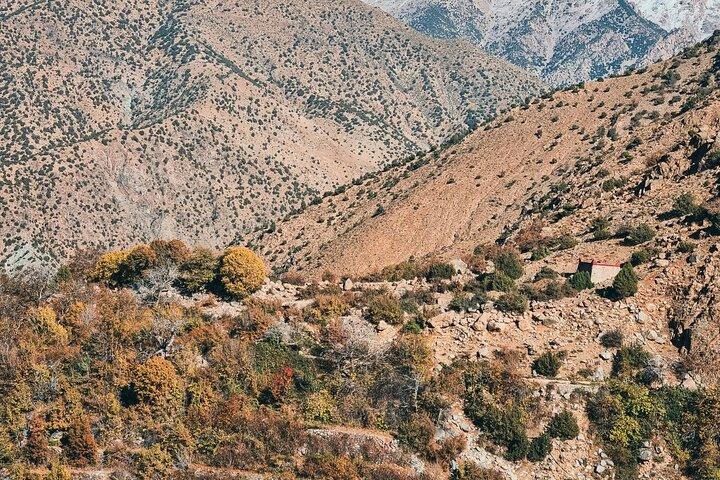 Ourika Valley Dagstur fra Marrakech