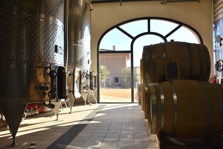 English - Provence Wine Tour near Aix-en-Provence Tasting & Visit