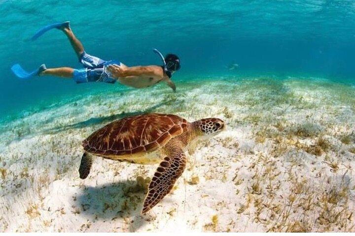 Snorkeling in Paradise - Videos Included