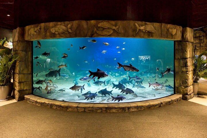 Siem Reap: Ingresso para Angkor Wildlife & Aquarium