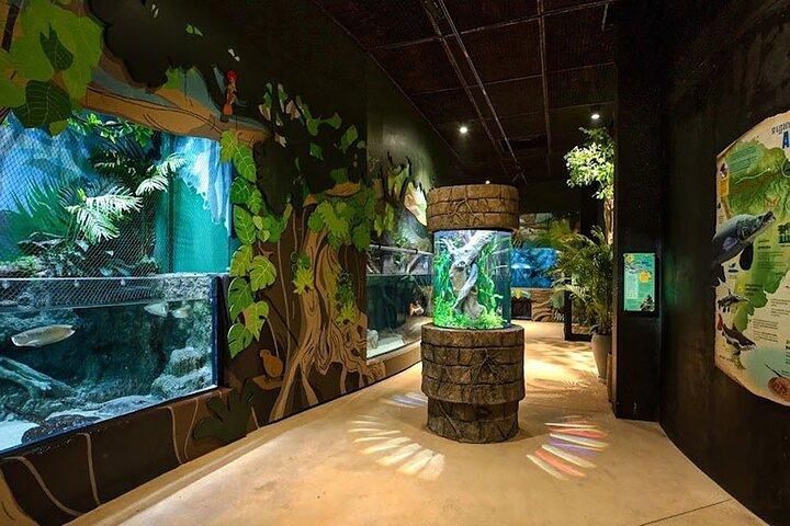 Siem Reap: Ingresso para Angkor Wildlife & Aquarium