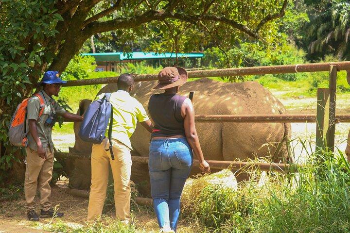 Explore Entebbe on Foot