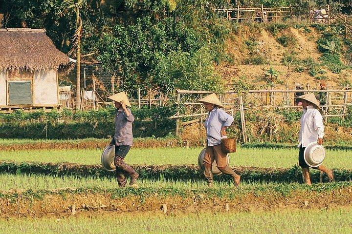 マイチャウ1日: 平和な村々、風光明媚な渓谷をサイクリング