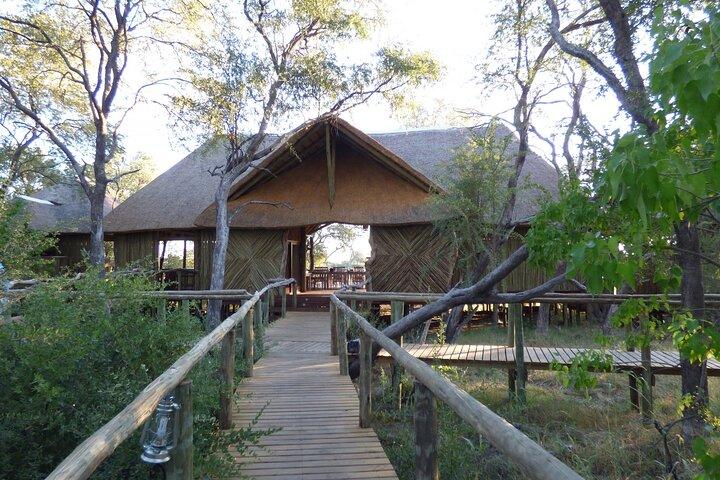 6 dias de luxo Okavango Odyssey Safari em Botswana