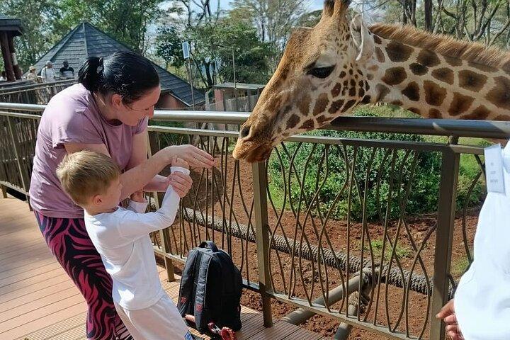 Centro de girafas, orfanato de elefantes e excursão guiada de dança cultural