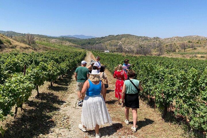 Privétour Rhodos, Vallei van de Vlinders & Lokale Wijnmakerij