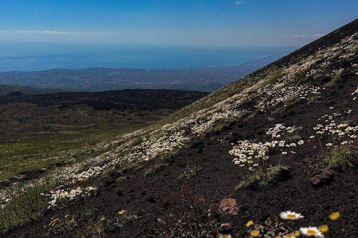 Catane : Visite matinale en jeep de l'Etna et des grottes de coulée de lave
