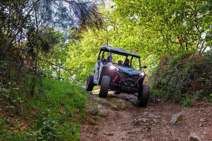 1 uur durende buggytour • (prijs per voertuig)