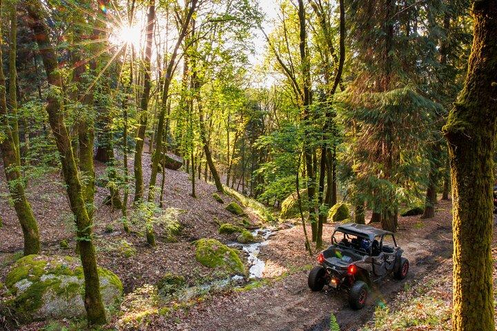 1 uur durende buggytour • (prijs per voertuig)