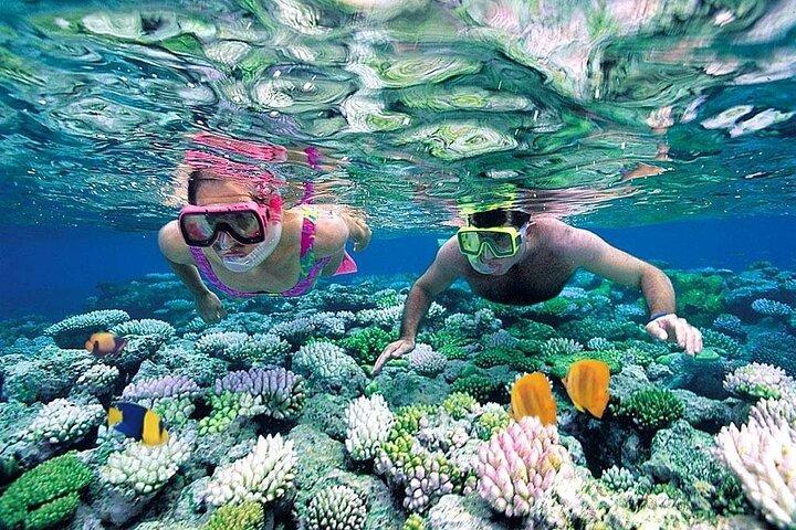 Nha Trang Beach Tour em ônibus e água