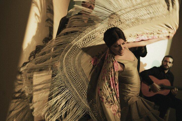 Centro Cultural Flamenco Madrid Adgangsbillet