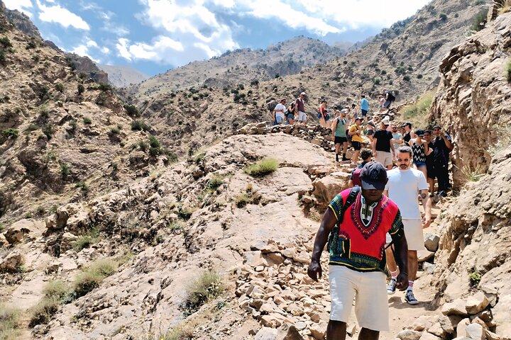 Atlas Mountains: Ourika Valley guidet dagstur fra Marrakech