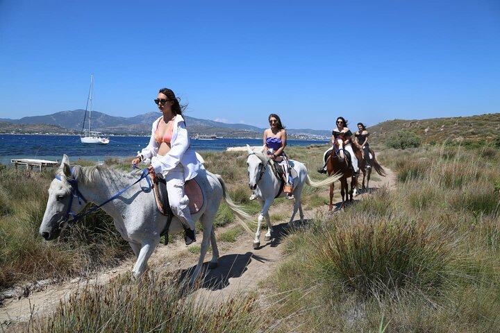 Bodrum Horse Safari Adventure