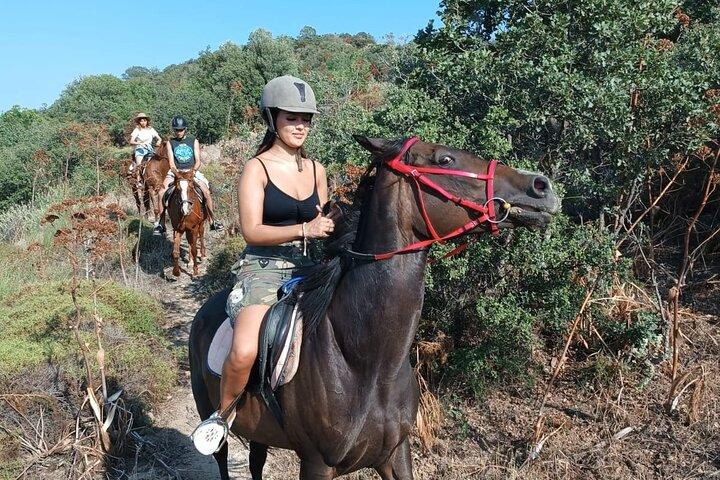 Bodrum Horse Safari Adventure