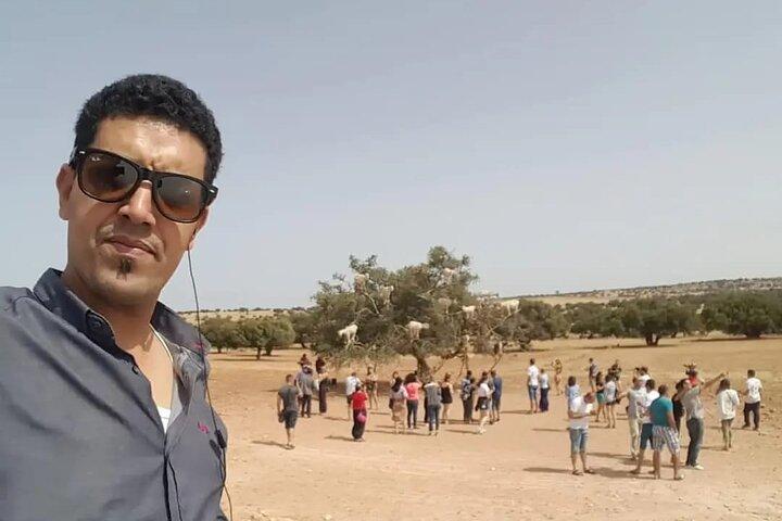 Car Private From Marrakech To Essaouira 8 To 17 People