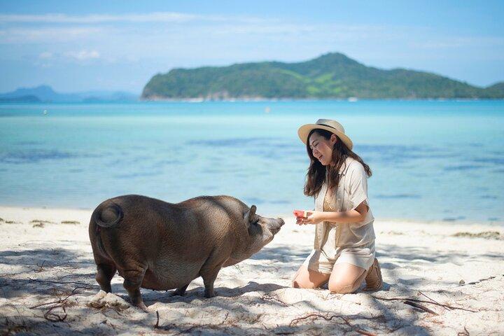 サムイ島発ピッグ島（マッドサム島）とタン島ツアー（食事付き）