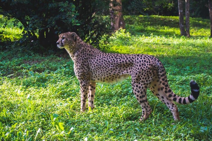 Tour of NNP, Sheldrick, Giraffe Centre & Kazuri Beads Experience
