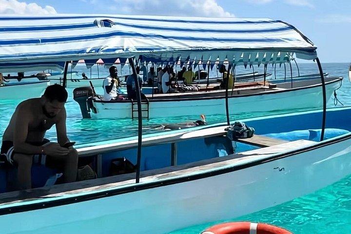 Mnemba island snorkeling tour