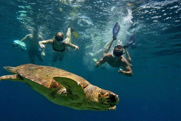 paphos : snorkeltocht op zee met Gids