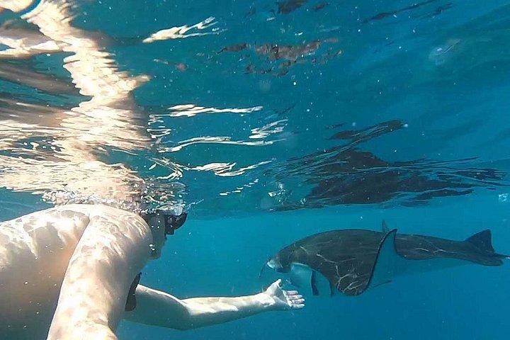 ペニダ島のマンタ湾の4つの象徴的なシュノーケリングスポットを探索