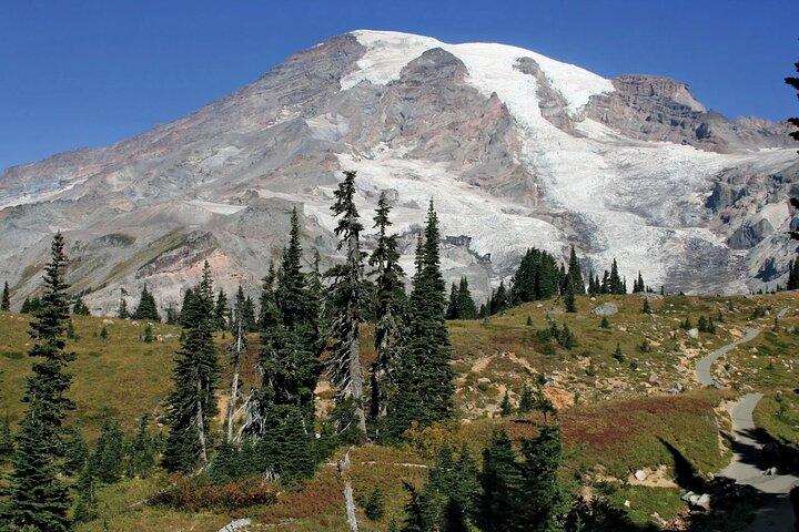 Mount Rainier tur med Gandola ride på Sunrise og Paradise